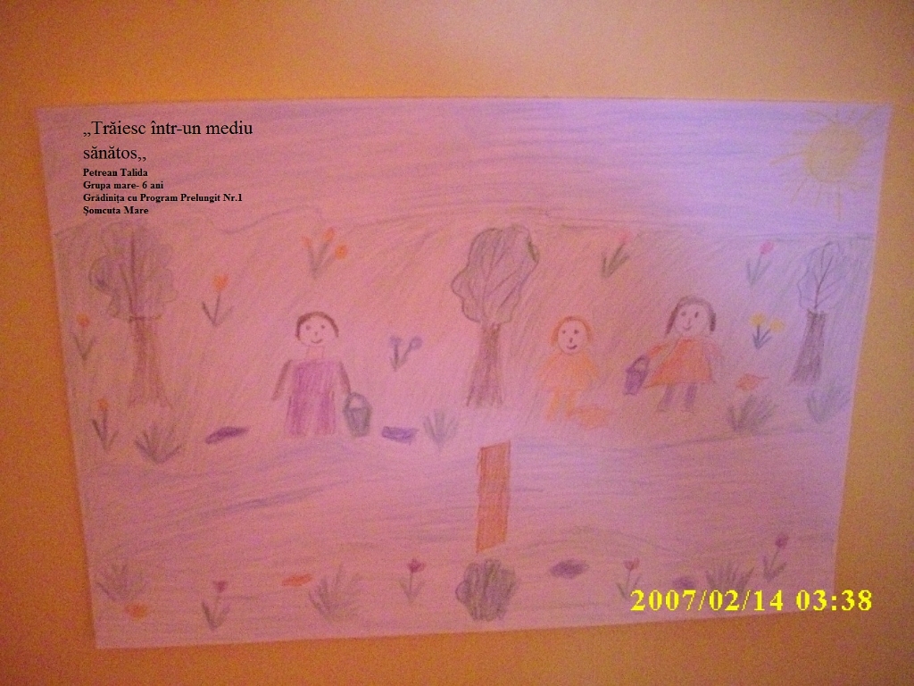 70_Petrean Talida_ Gr 1 Somc M.jpg